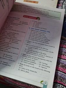 Concise Book IX