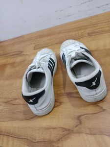 Sparx Brand Sneakers For Womens