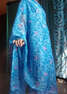 Beautiful Blue Saree
