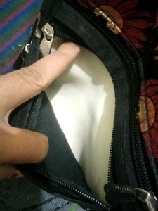 Peacock Feather Clutch