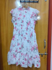 Floral Print Fit And Flare Dress