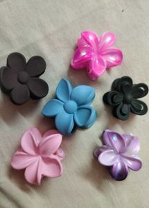 Trendy Hair Clutcher