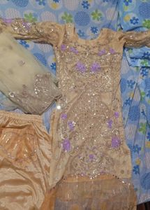 Elegant Pakistani Salwar Kameez