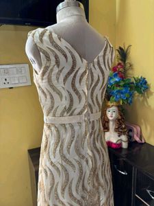 Elegant Ethnic Gown