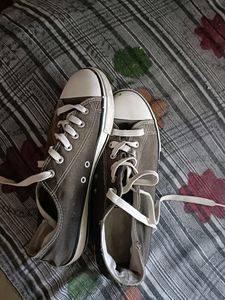 Canvas (Used 2 months Only)