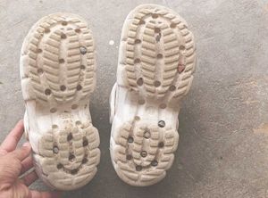 Croos