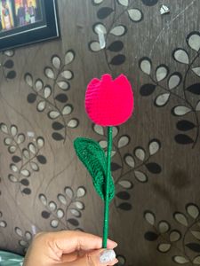 Tulip