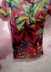 Night Drees
