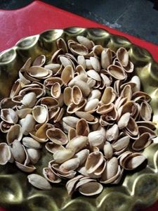 Pista Shells For Decoration