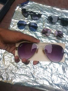Sunglasses Collection