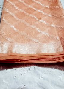 Tissue Saree 2