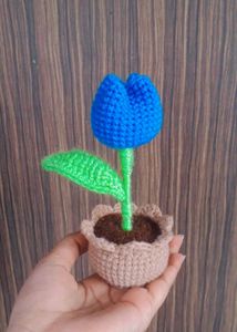 Tulip Pot