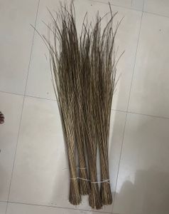 Natural Broom Grass