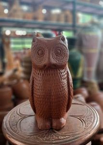 The Owl