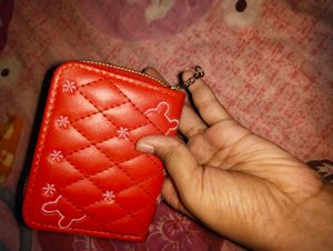 Small Girls Wallet