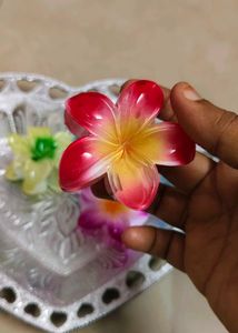 Pinterest Hair Claws At Affordable Price Each 35rs