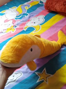Soft Dolphins🐬