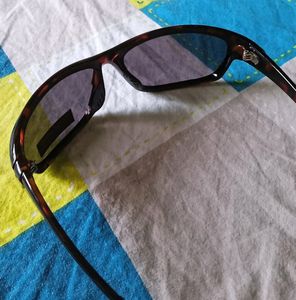 SunGlass Cooling Glass - Foster Grant - FG014