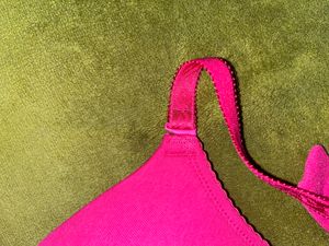 Fig Padded T-shirt Bra