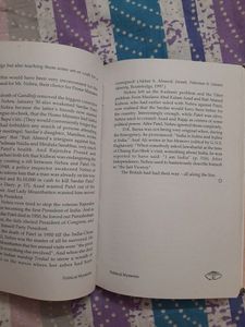 Novel- Political Mysteries