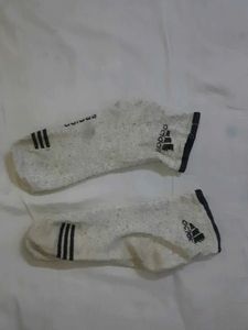 Adidas White Socks