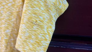 Cute Shoulder Cut Butter Yellow Top
