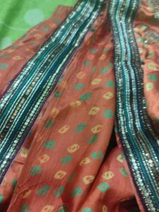 Shinning Saree