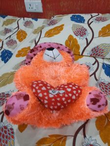 Teddy