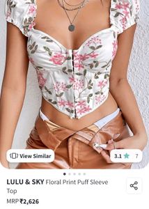 Floral Corset Crop Top (Price Negotiable)