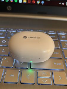 Portronics Earphones