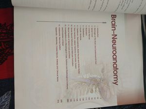 Human Anatomy BD Chaurasia , Brain Neuroanatomy