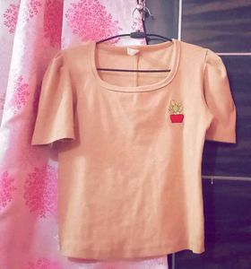 Nude Brown Top