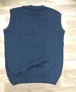 Striped Sleeveless Sweater Vest