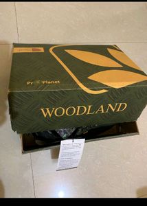 Woodland Safety Shoes