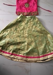 Beautiful Pista Colour Lehenga Choli