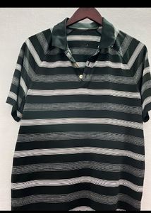 Striped Polo Shirt