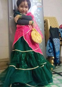 Net Lehnga