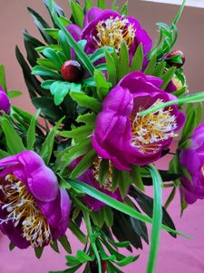 Purple Flower Bunch