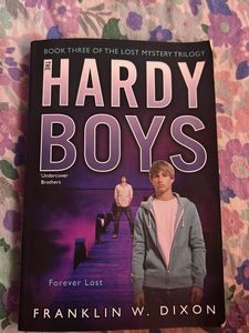 Hardy Boys Book