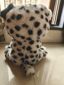 Cute Little Furry Friend