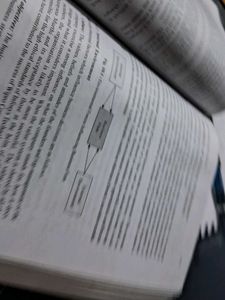 Management Principles &amp; Applications