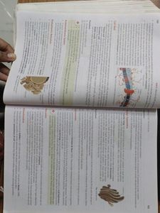 Objective Ncert At Your Fingertips