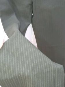 ZARA BASIC LIMITED EDITION Brown Career Pants