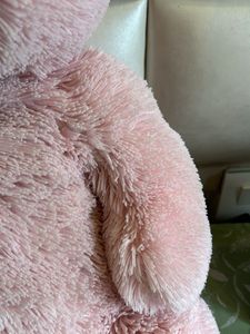 Teddy Bear (2 Feet) Ht