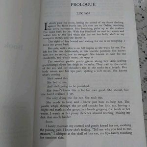 Highest Bidder Novel