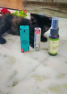 Pilgrim Anti-Acne Serum &amp; Tea Tree Toner