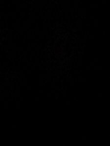 Elegant Beige Salwar Kameez