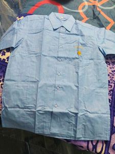 Light Blue Button-Down Shirt