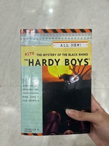 The Hardy Boys