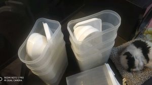 Food Storage Containers
